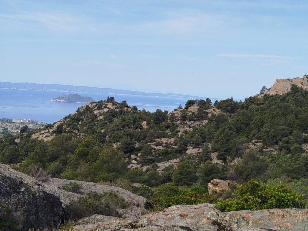 Εικόνα από την ενδοχώρα της Σιθωνίας και στο βάθος η θάλασσα.