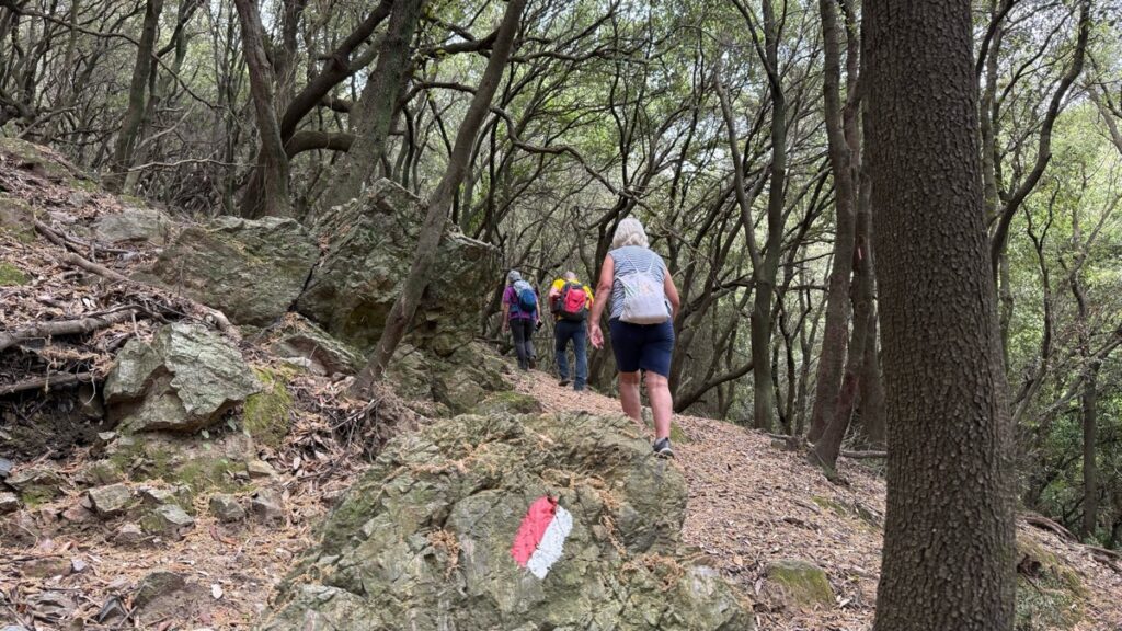 Πεζοπορία σε μονοπάτι του Chania Trails